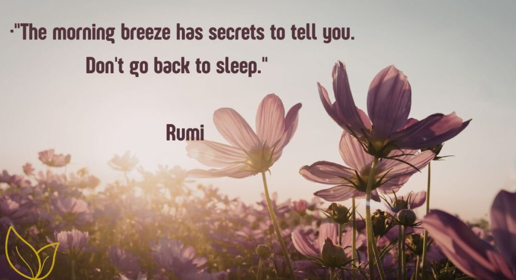 Timeless Sayings and Inspirational Good Morning Blessings to Uplift the Soul
