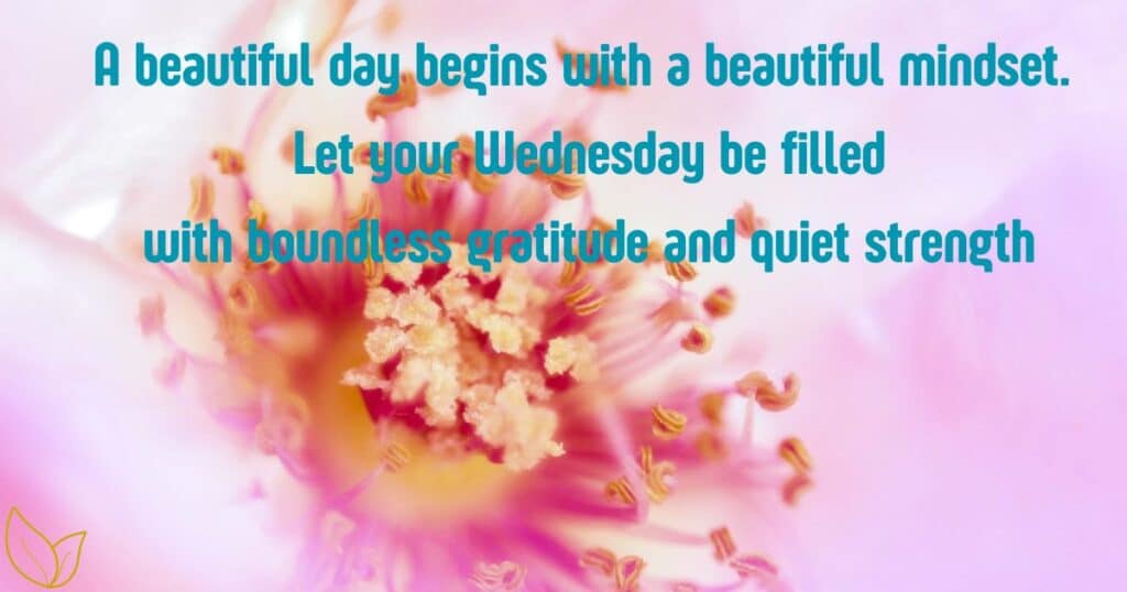 Beautiful Wednesday Quotes to Inspire Your Day