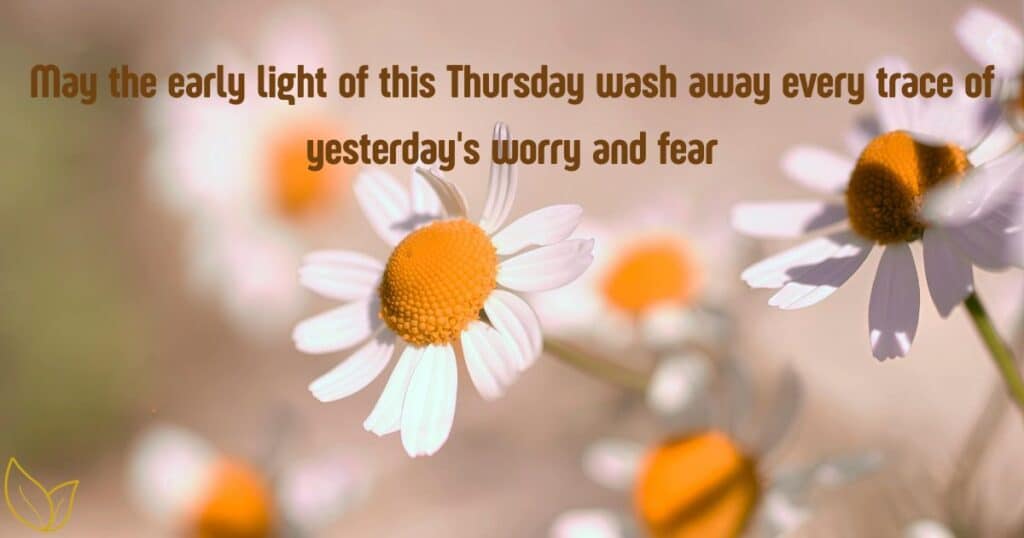 Radiant Morning Blessings to Start Your Day with Joy