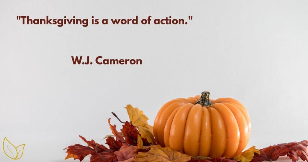 Timeless Thanksgiving Quotes & Sayings to Live By