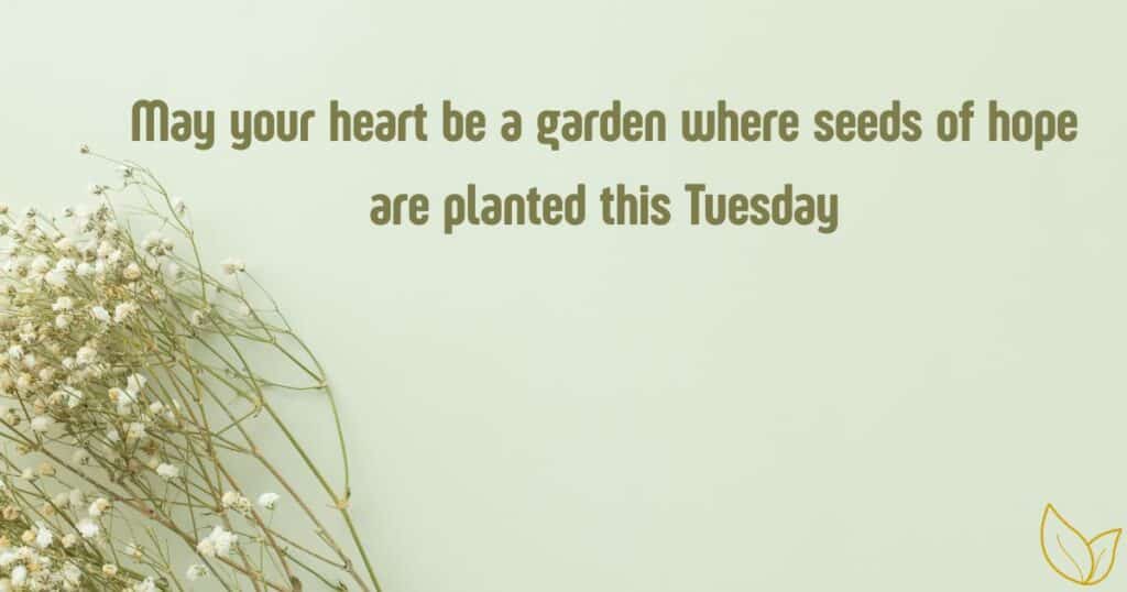 Timeless Tuesday Blessings Quotes to Live By