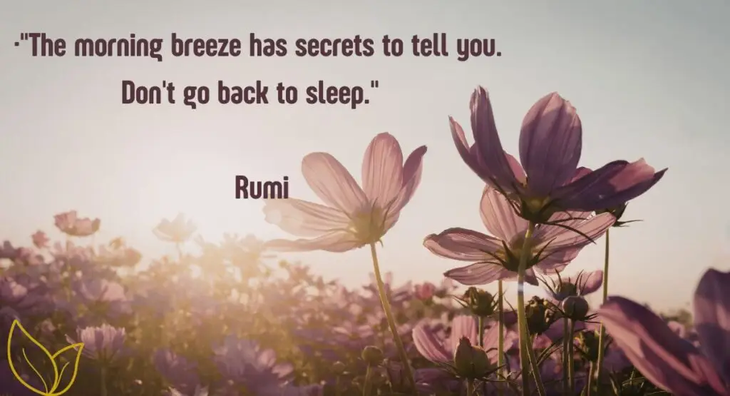 Timeless Sayings and Inspirational Good Morning Blessings to Uplift the Soul
